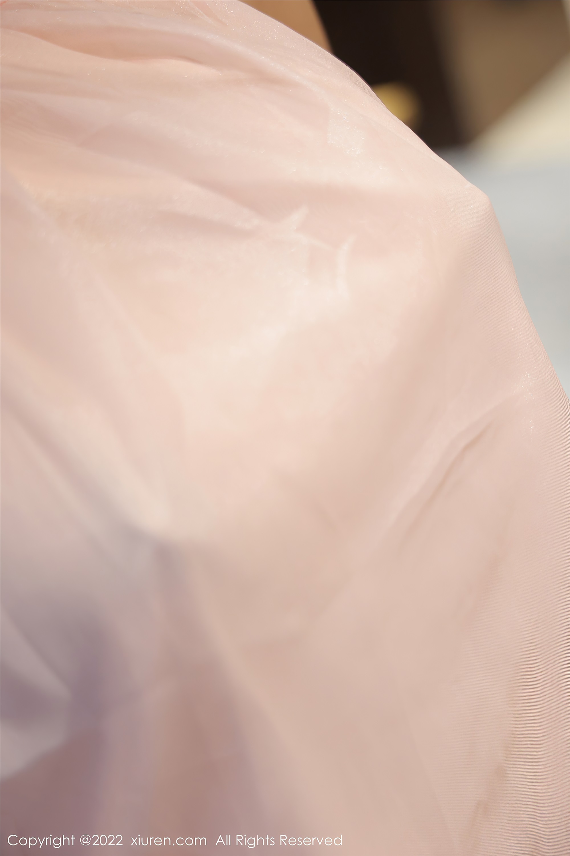 Xiuren秀人网 2022.04.11 NO.4847 萌汉药baby